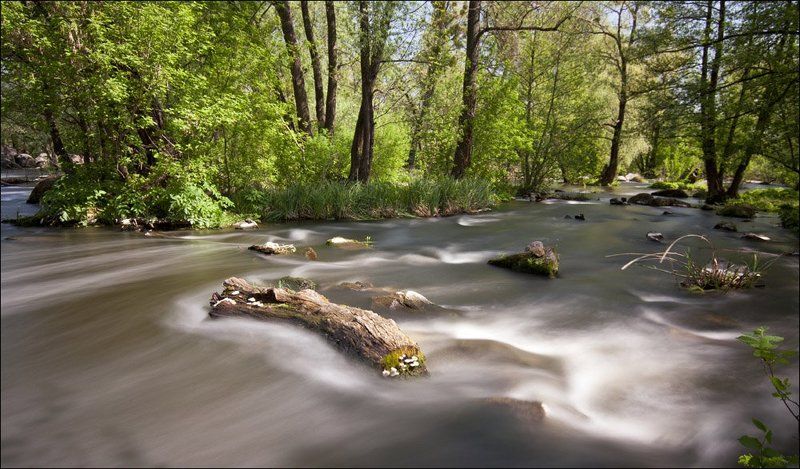 Кисельные реки... фото превью