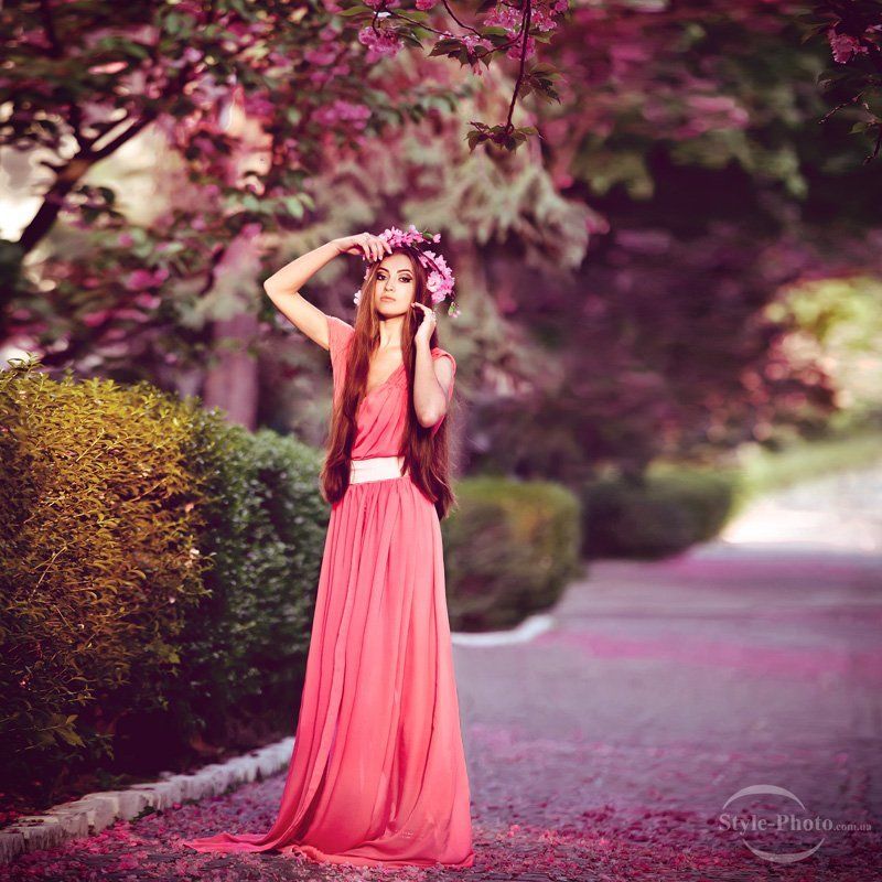 Сакура фото превью