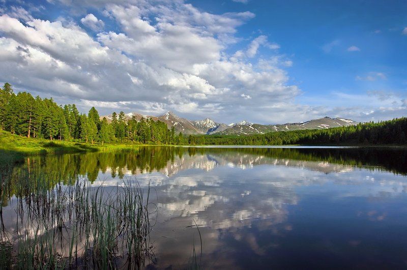 *** фото превью