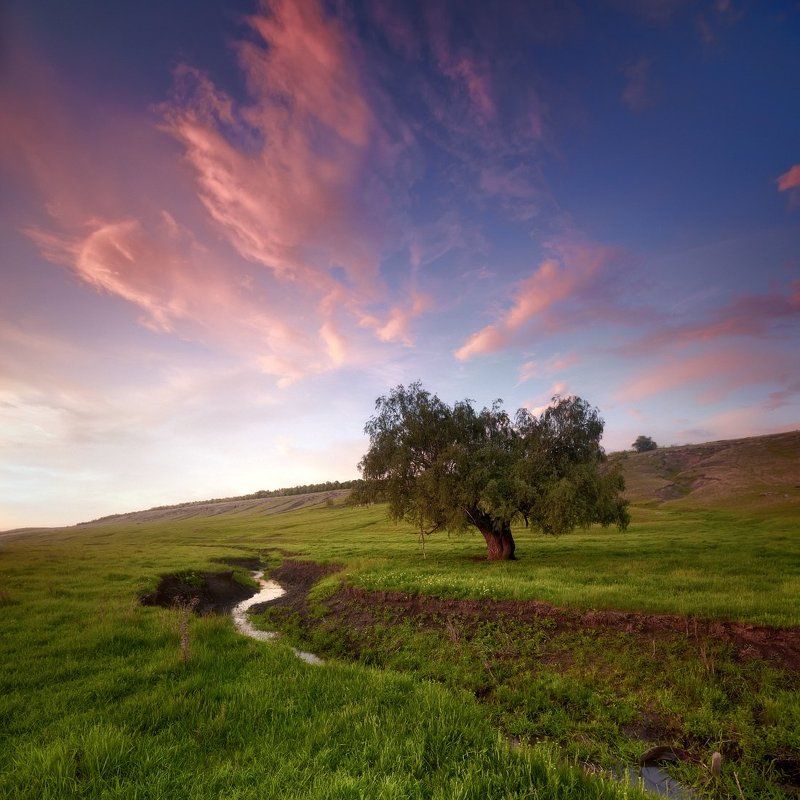 *** фото превью