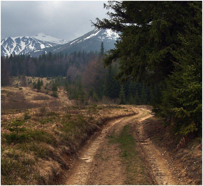 дороги уводят в горы... фото превью