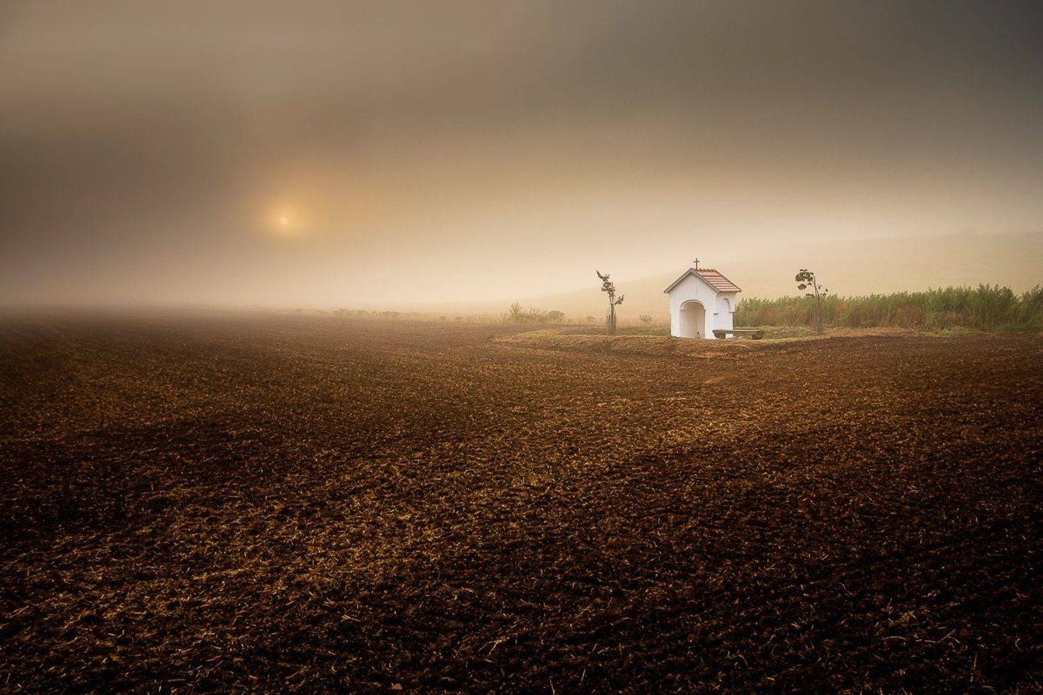 #landscape #calm #sky #clouds #sunrise #trees #foggy #fog #canon #longexposure #nature #beautiful #colorful #hills, Karolina Konsur