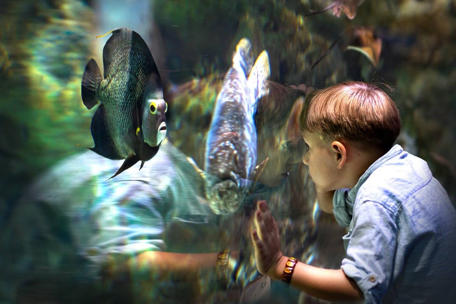 , Евгения Брусенцова