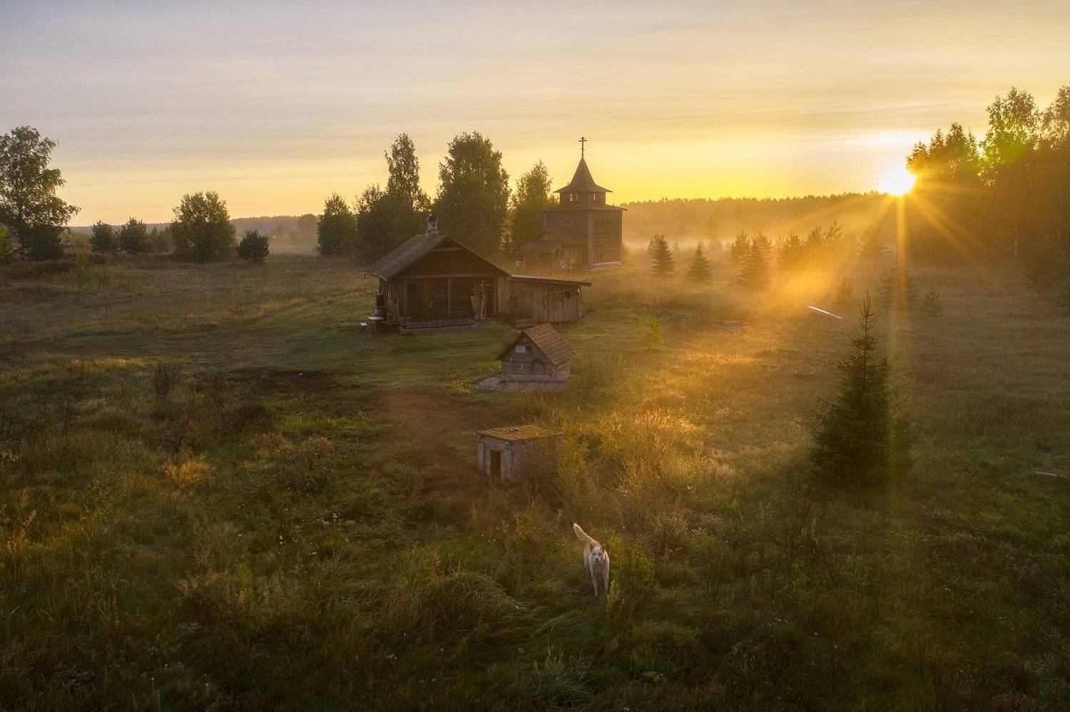 , Андрей Базанов