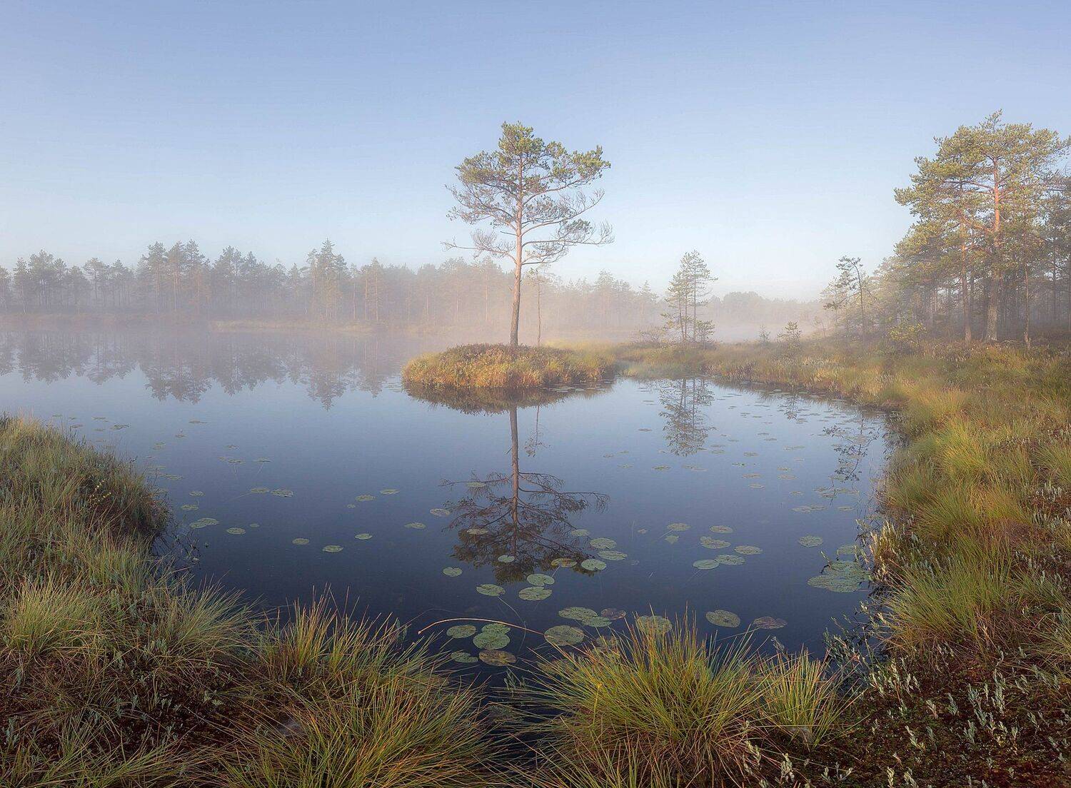 болото, кайф, рассвет ,север ,солнце, свет, закат, облака, отражение, фототур, Павел Ващенков