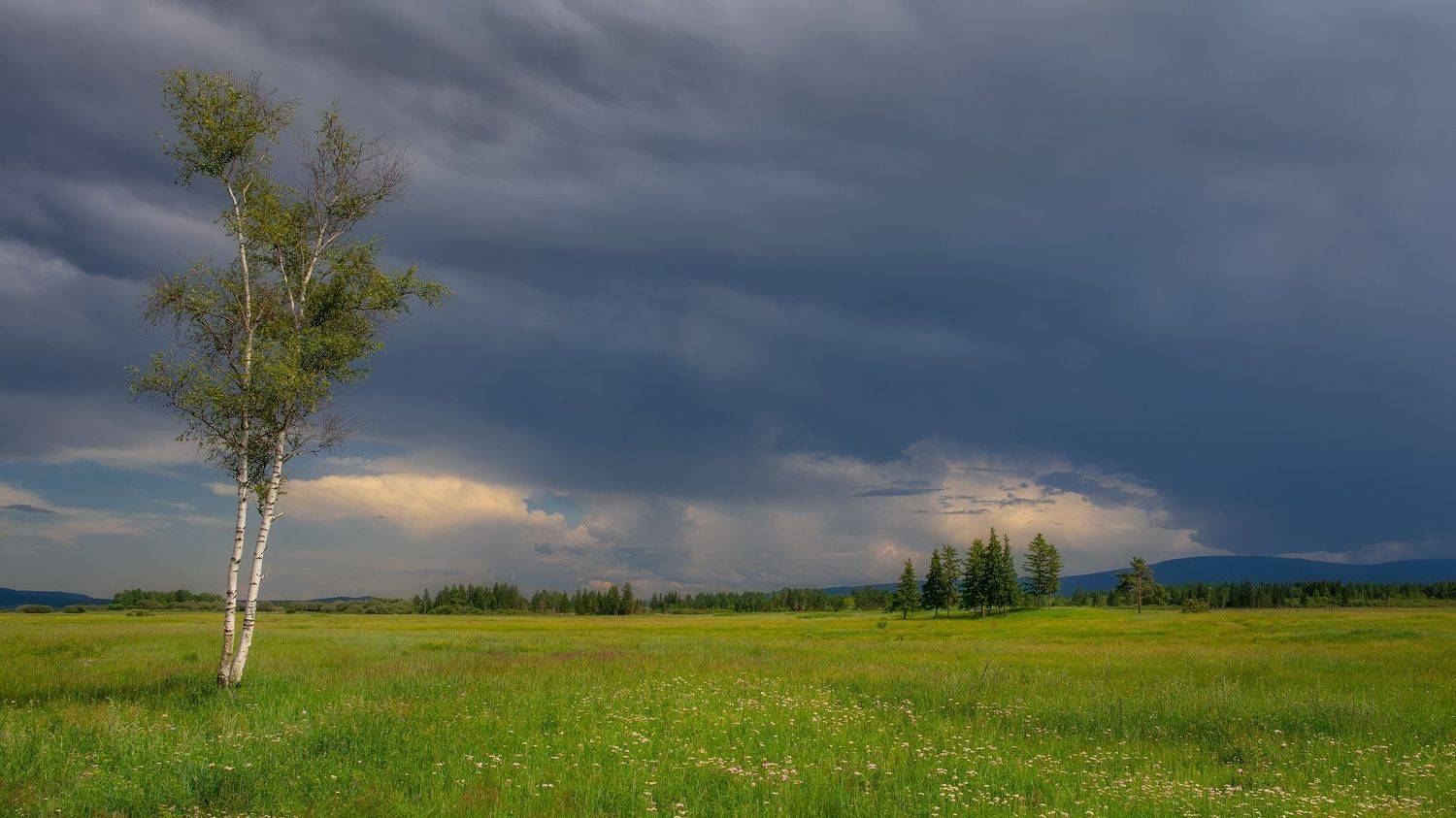 лето грозовыеоблака поле березки, Сергей Козлов