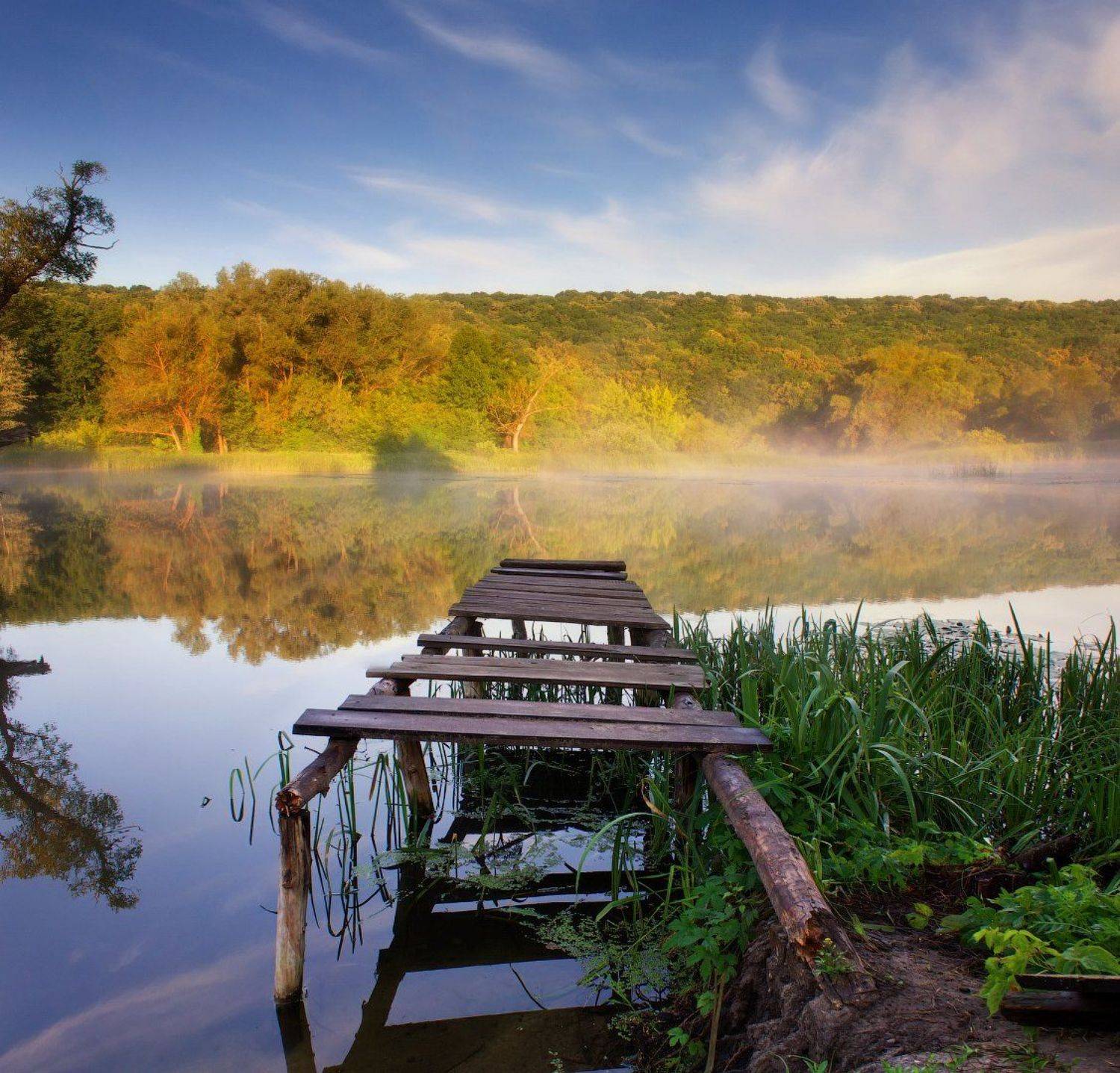 река, сижа, утро, лес, берег, природа, донец, харьков, Виктор Тулбанов