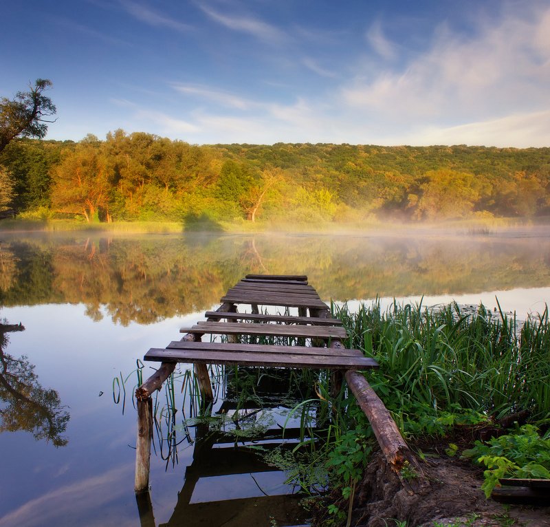 река, сижа, утро, лес, берег, природа, донец, харьков Сижа фото превью