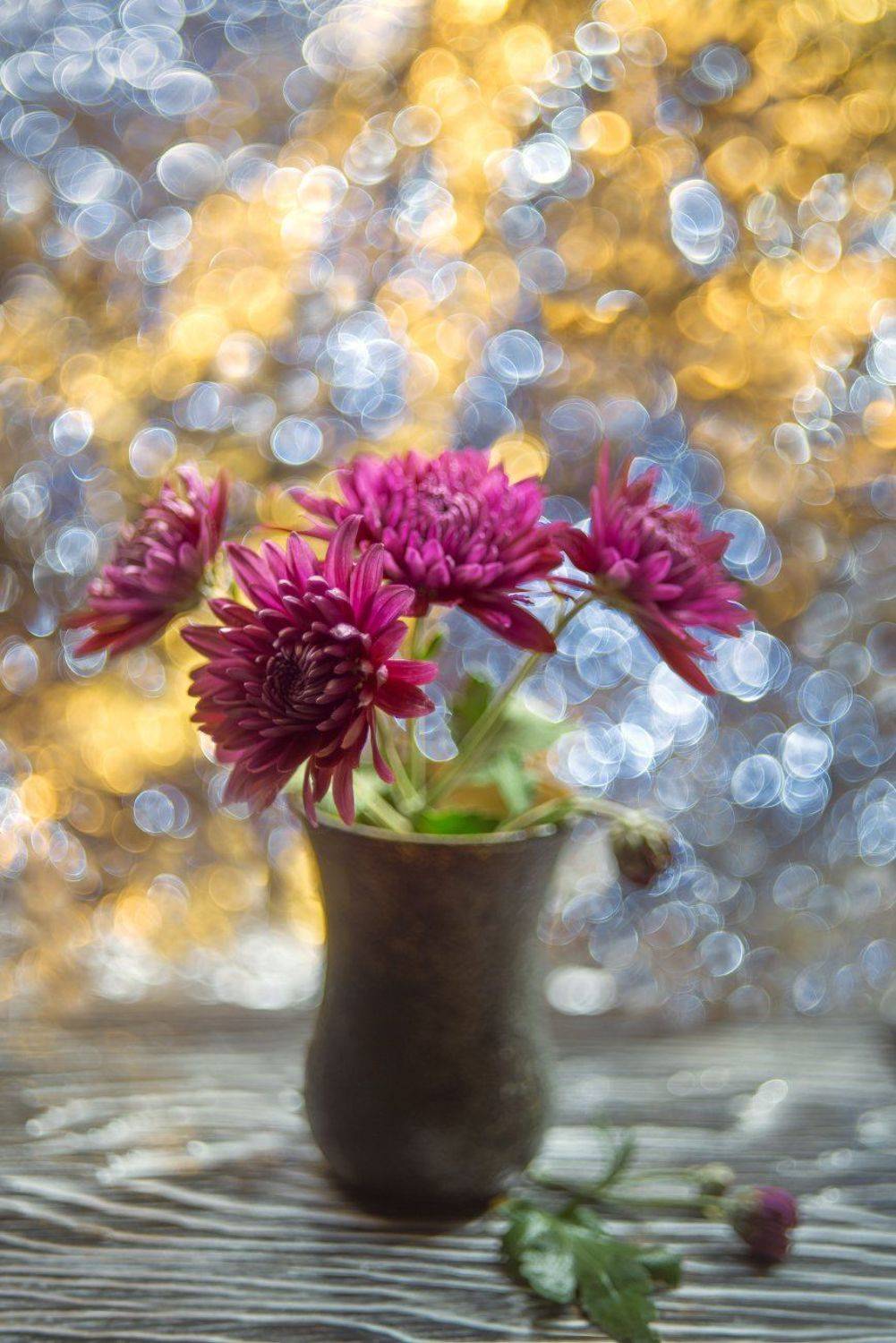 осень,натюрморт,цветы,гелиос, Елена Брежицкая