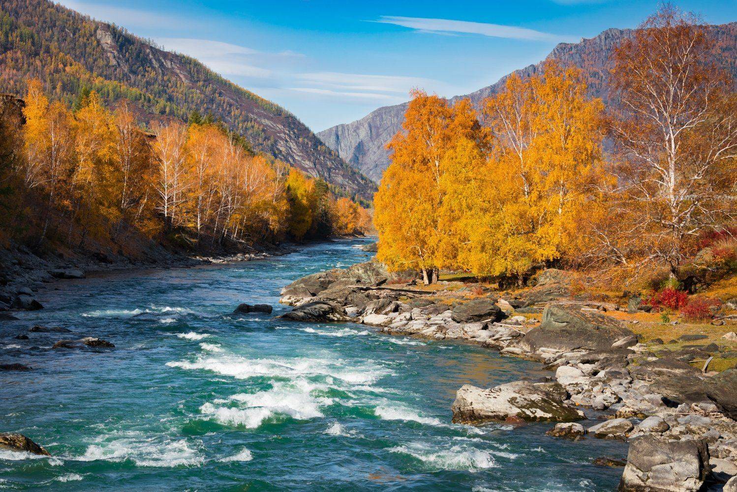 , Татьяна Степанова