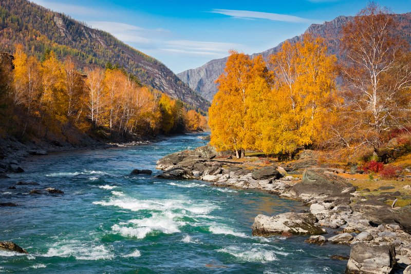 Алтай фото превью