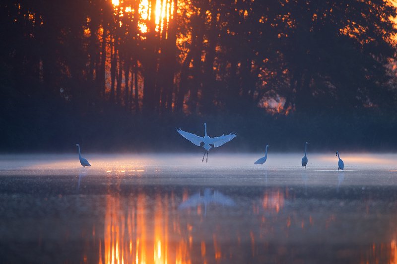 Cold and warm фото превью