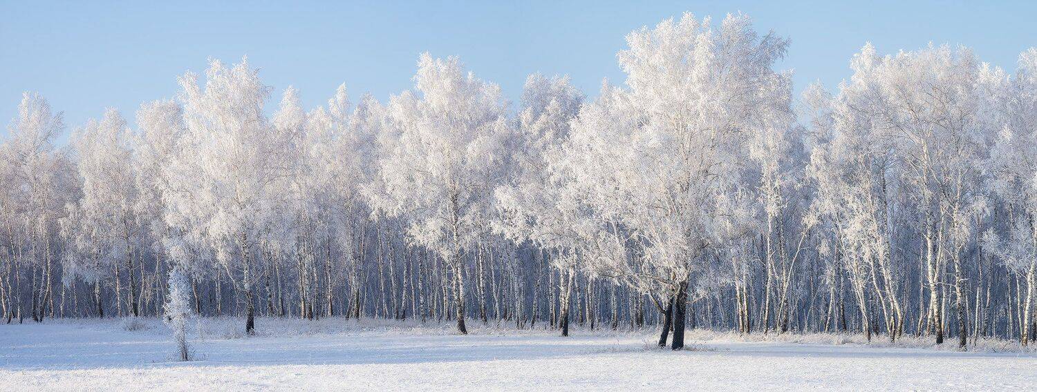 , Лещёнок Александр