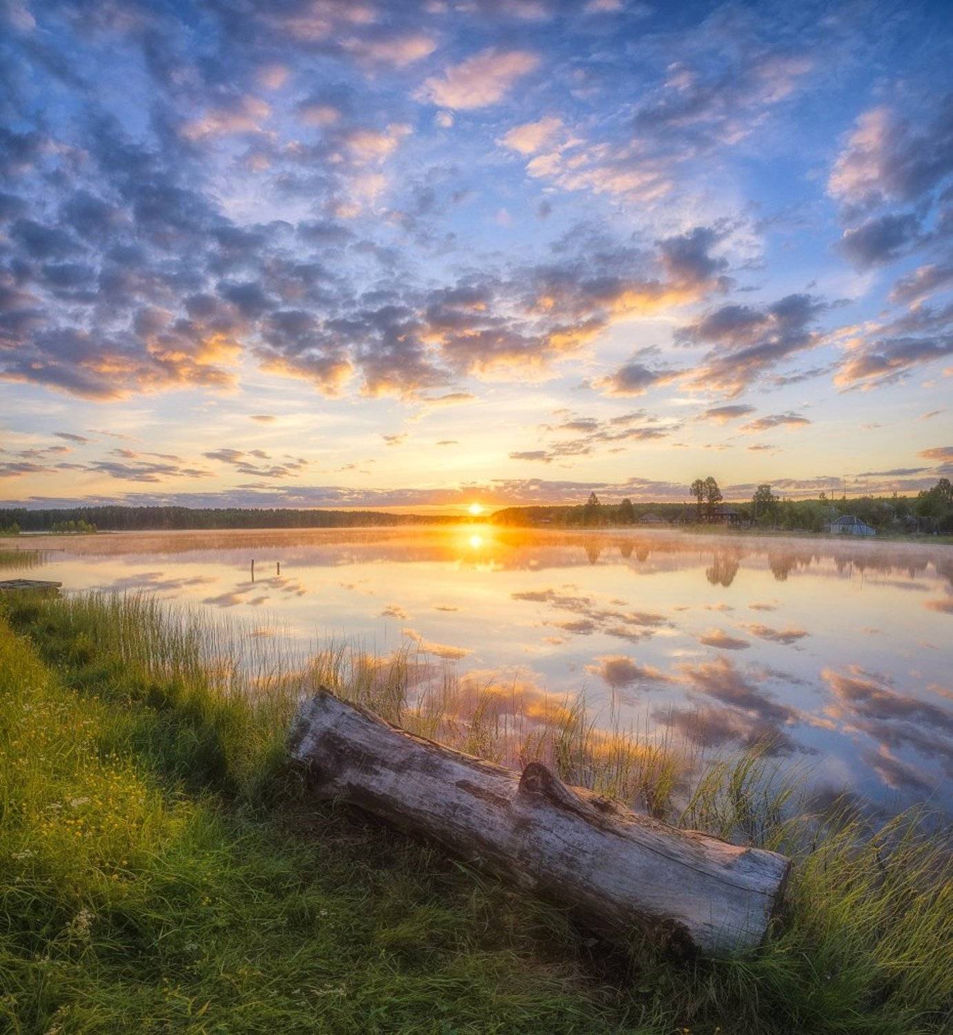 , Устюжанин Михаил