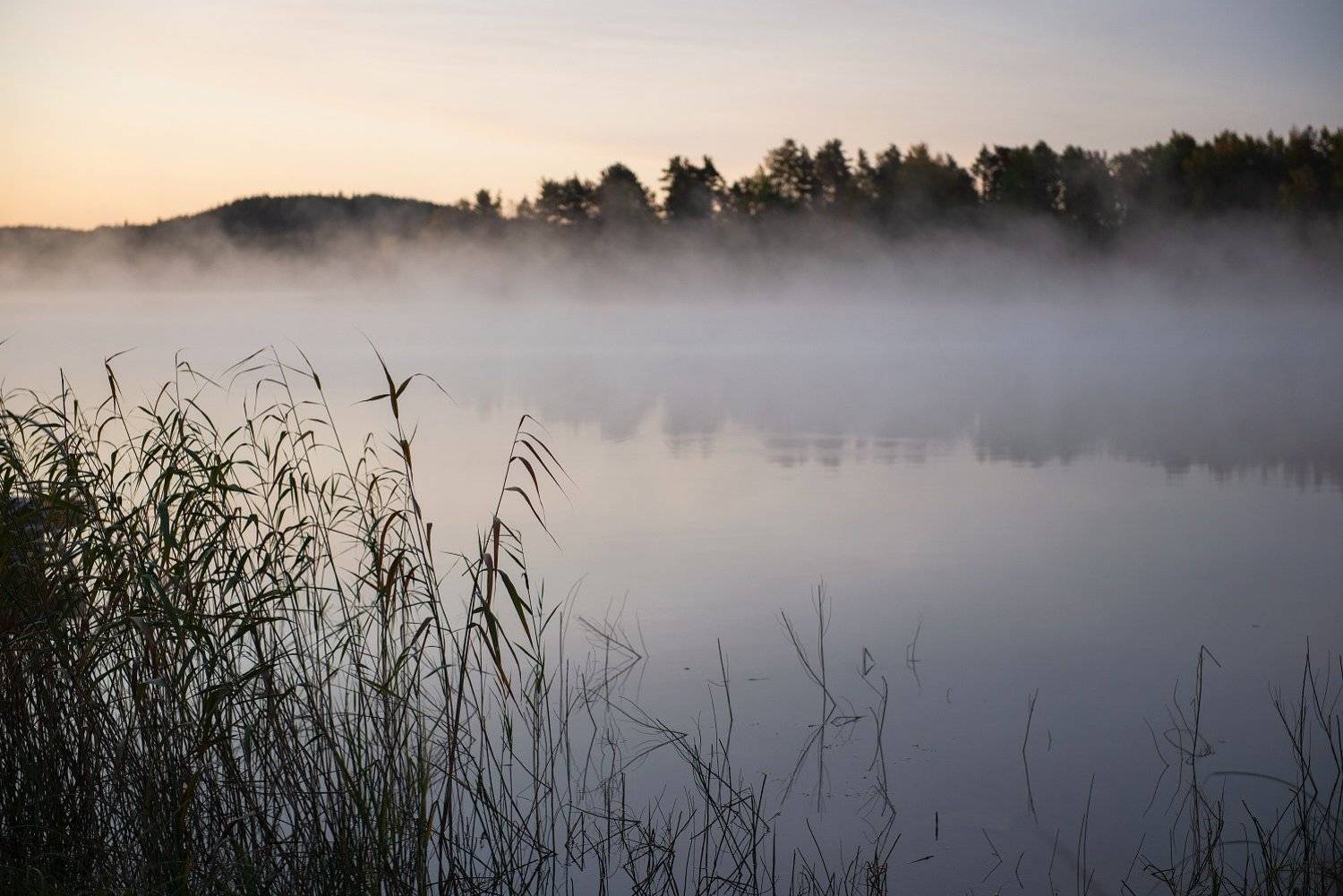 , Алёна Таланова