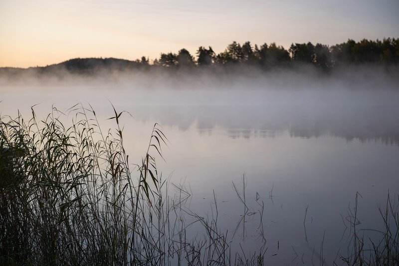 Карельский туман фото превью