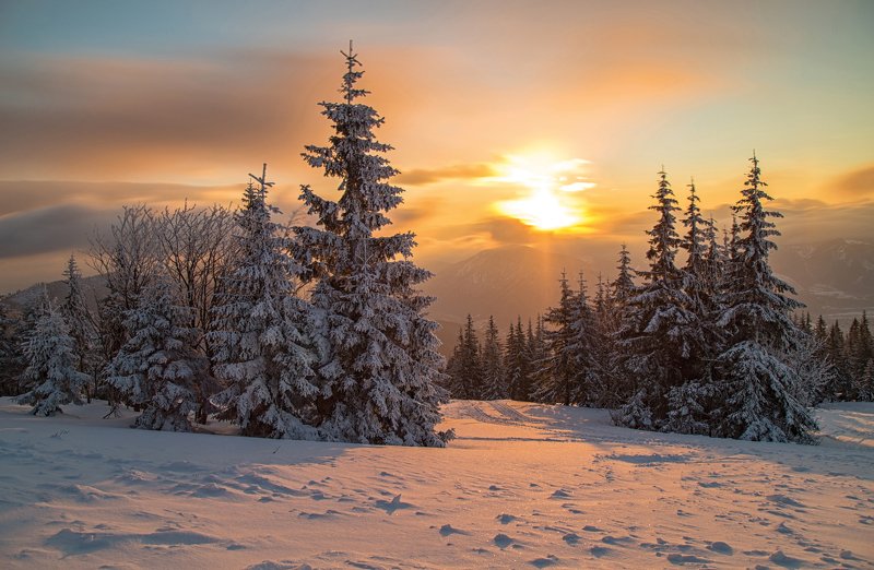 @landscape @mountains @sunrise @slovakia @photography Sun фото превью