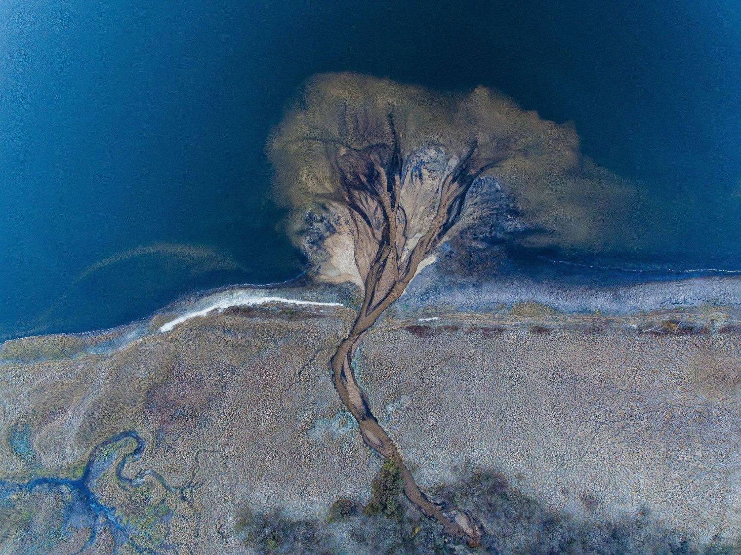 , Александр Хитров