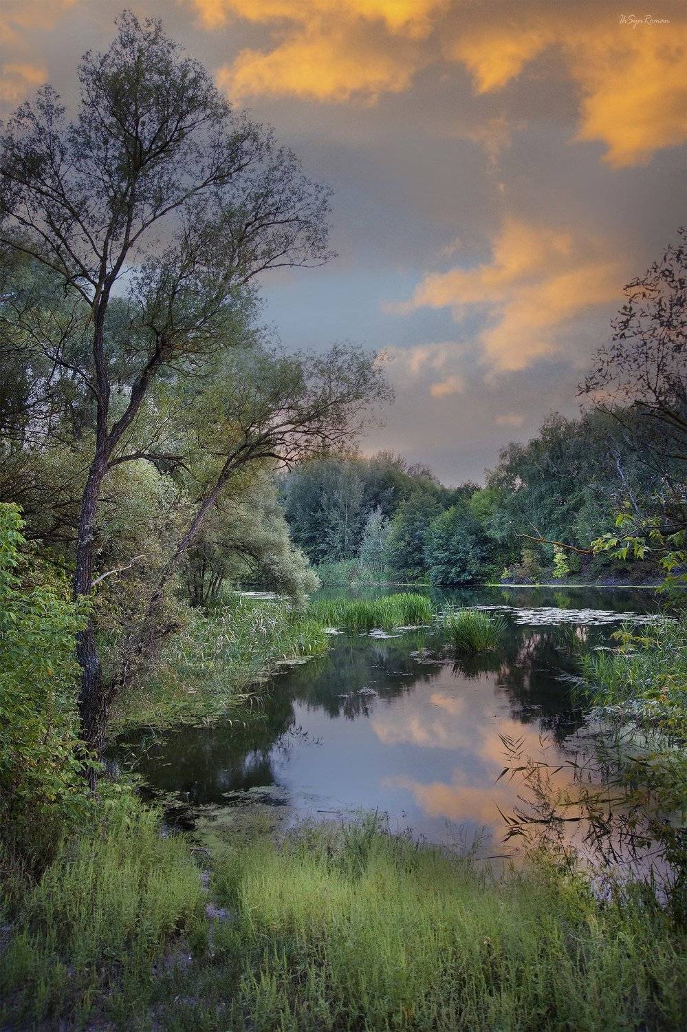 пейзаж, лето, вечер, лес,река,берег,закат, облака, Roma  Chitinskiy