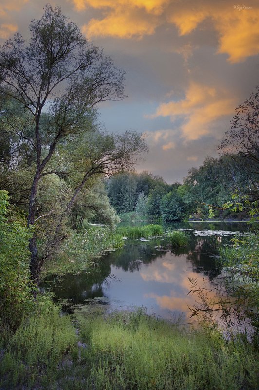 пейзаж, лето, вечер, лес,река,берег,закат, облака На вечерней зорьке ... фото превью
