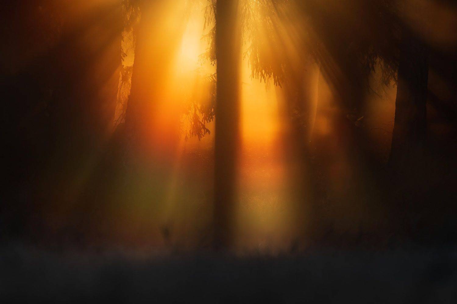 , Łukasz Sok&oacute;ł