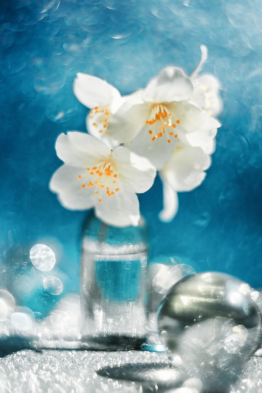 stillife, bokeh Чубушник в голубом фото превью