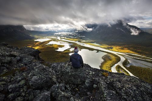 Sarek