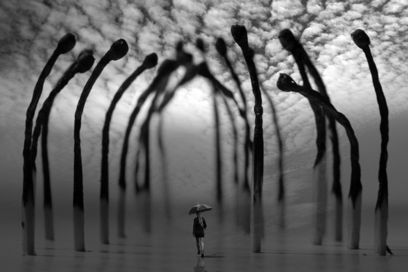 Надежда фото превью