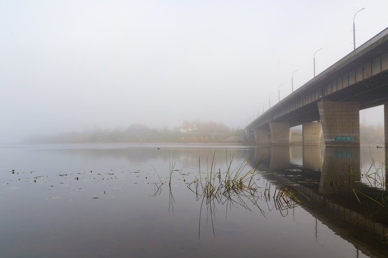 pskov, pleskau, псков, landscape, псковскаяобласть, pskovregion, утро, туман, nikon, nikonrussia, sigma, rtgtv, 35photo, russia, foto, фото, photo, photography Туман фото превью