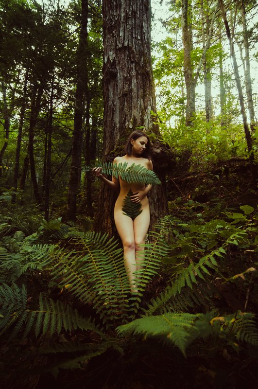 В объятиях леса фото превью