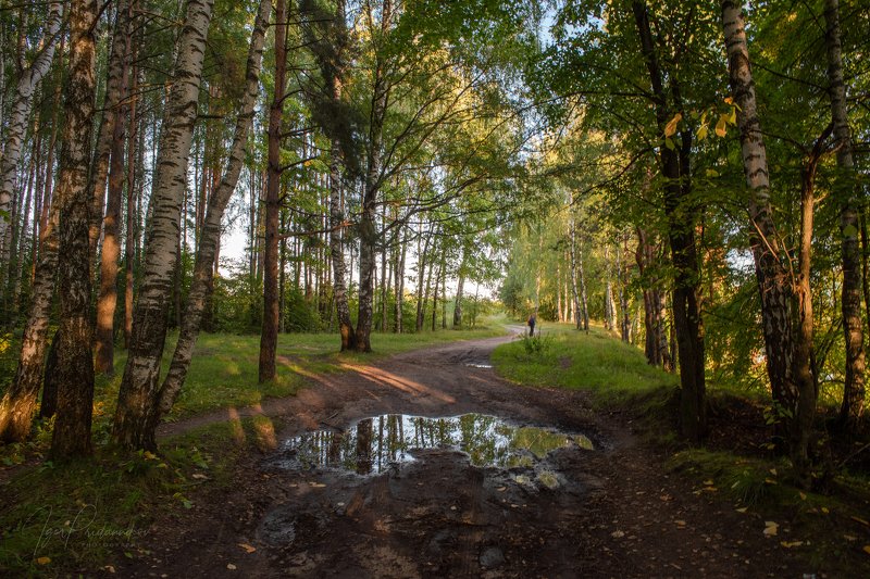 После дождя фото превью