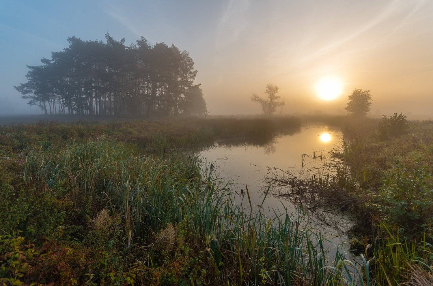 , Maciej Werbliński
