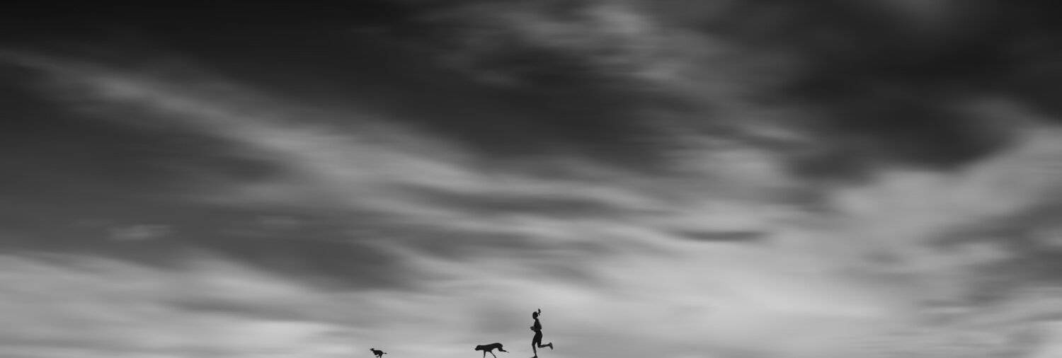 , Leonid Lan
