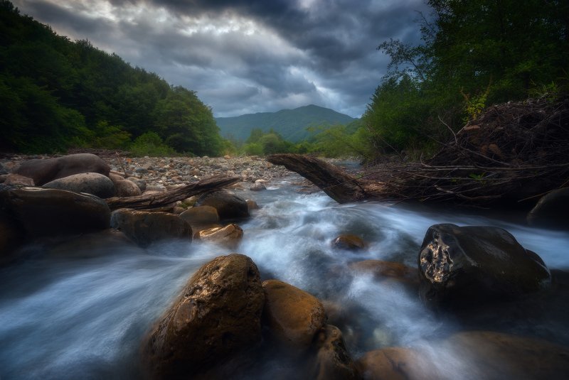 River song фото превью