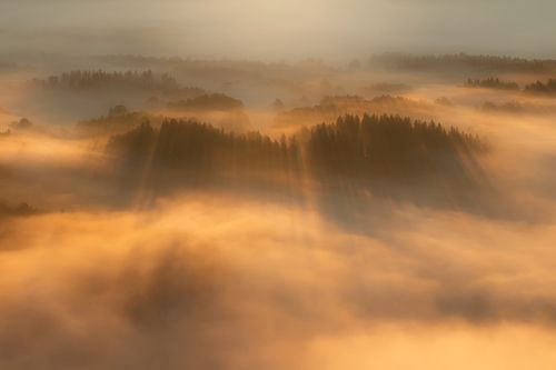 Light of Hope