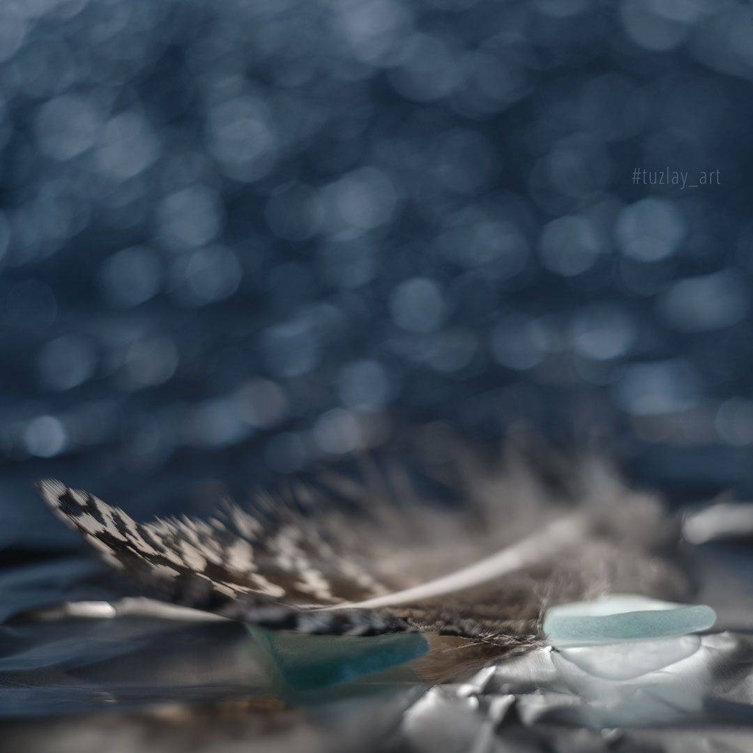 перо, боке, гелиос 44, стеклышко, Владимир Тузлай