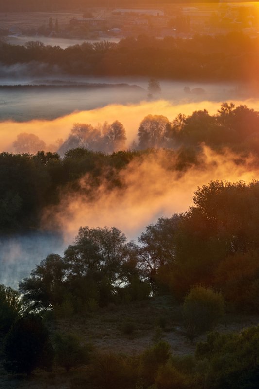 Shades of autumn. фото превью