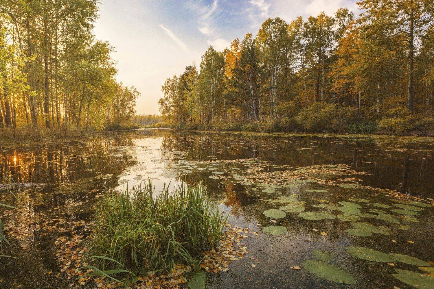 озеро, горы, лес, природа, закат, рассвет, красота, приключения, путешествие, Шевченко Николай