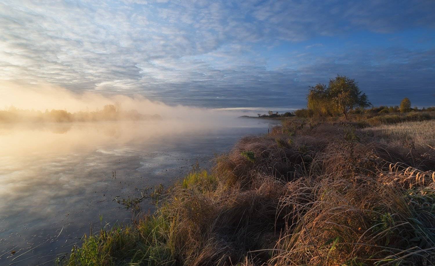 осень, сентябрь, озеро, туман,  Гобова Наталья