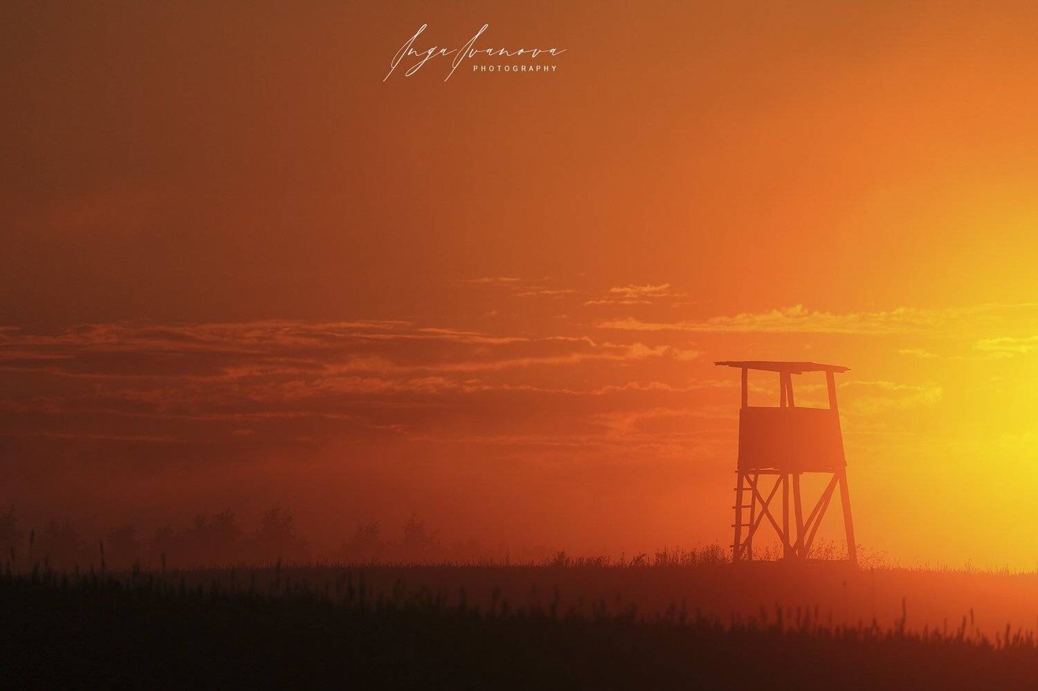 , Инга Иванова