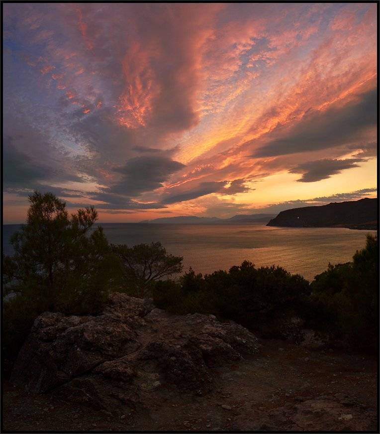 , Владимир Метцгер