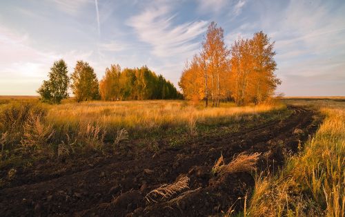 Осенняя прелюдия