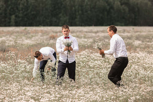 Мальчики в поле цветы собирали...