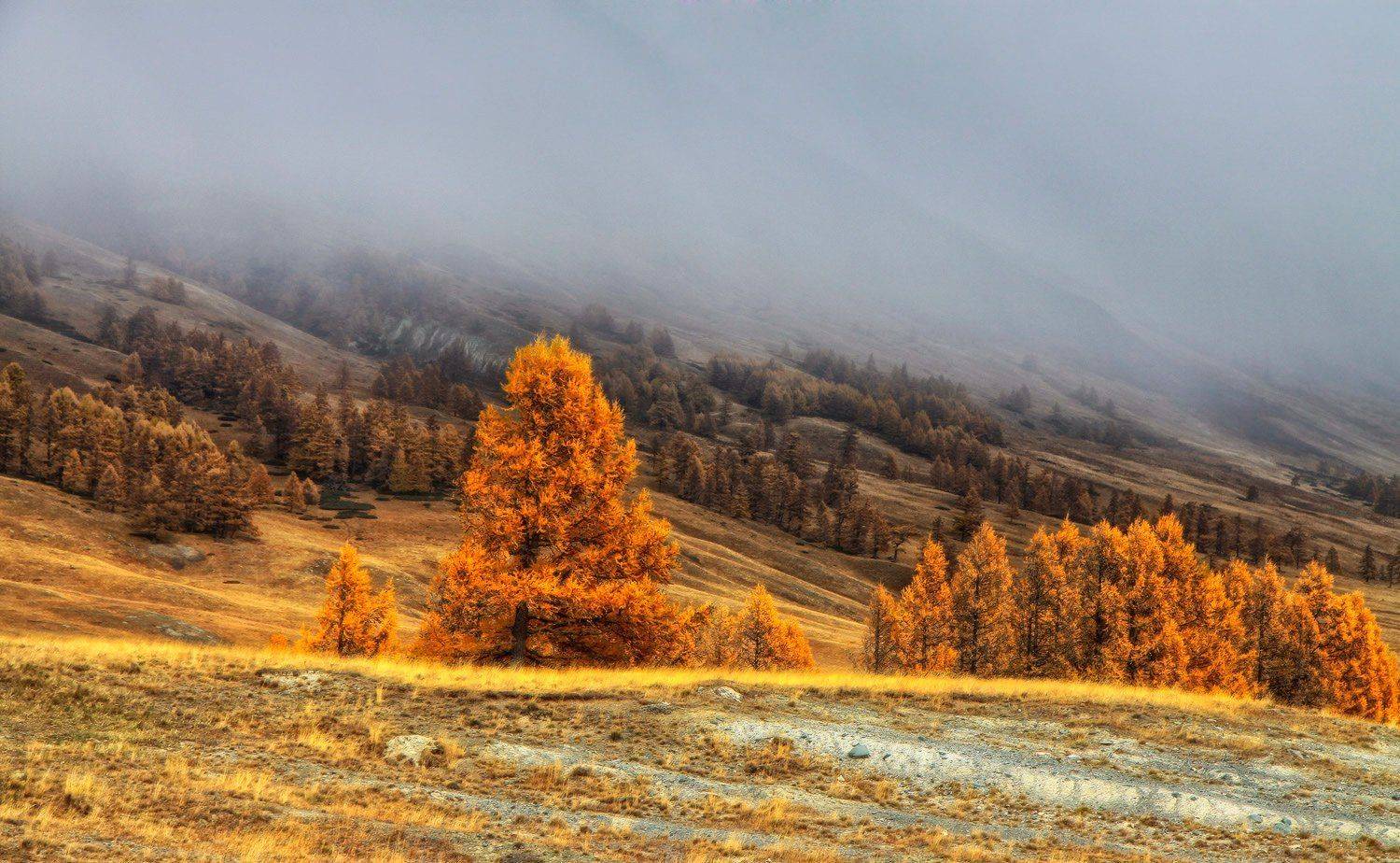алтай, горный алтай, горы, сибирь, джазатор, Галина Хвостенко