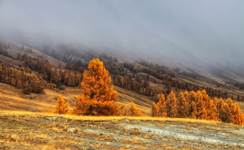 Спускается мгла