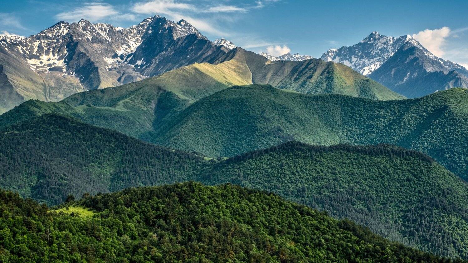 , Константин Леонтьев