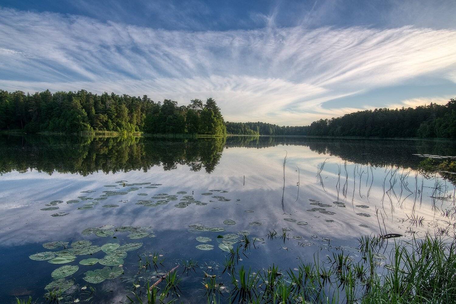 , Федотов Антон