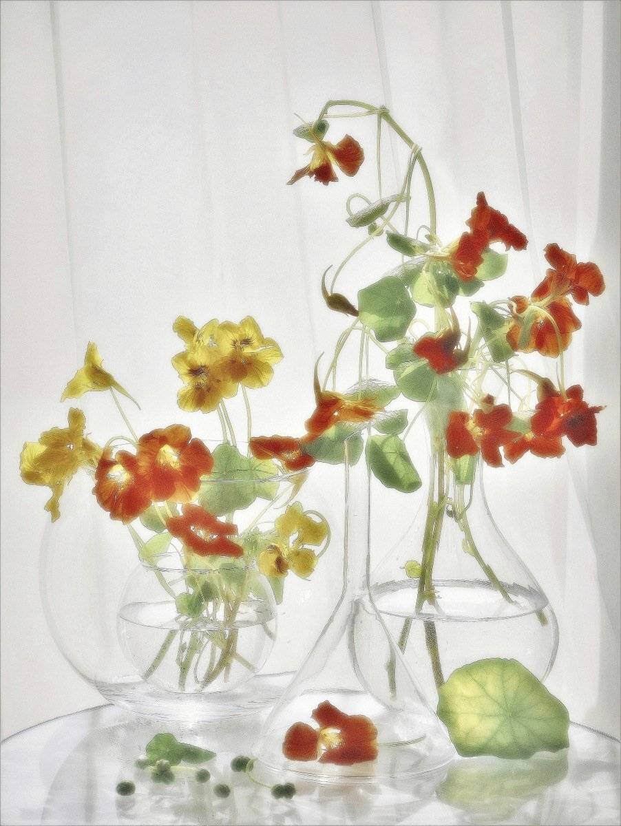 сергей алексеев, Сергей Алексеев