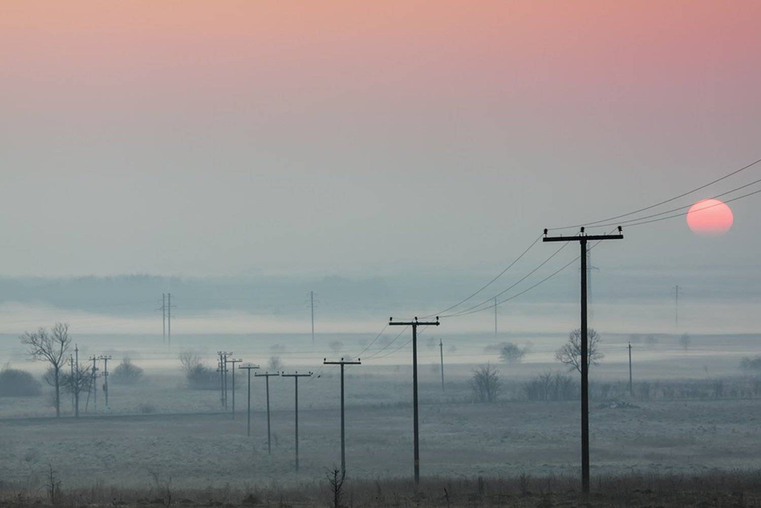 , Геннадий Новов