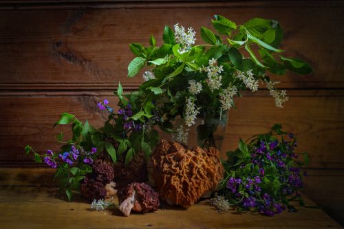 Пока цветет черемуха